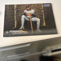 Fernando Tatis Junior baseball card