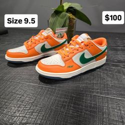 Nike Dunks (FAMU edition)