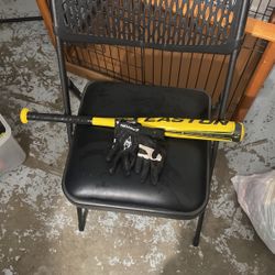 Baseball Bat & Gloves 