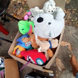 Stuffed Animals 