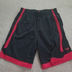 Mens Large Pony Basketball Shorts