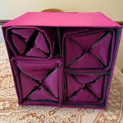 New, Price Firm, 5 Pc Better Beauty Case Set, Magenta, by Joy Montgano