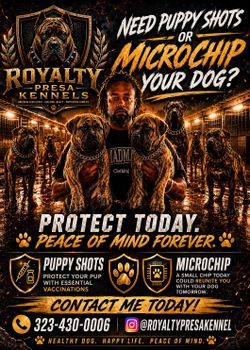 Microchip