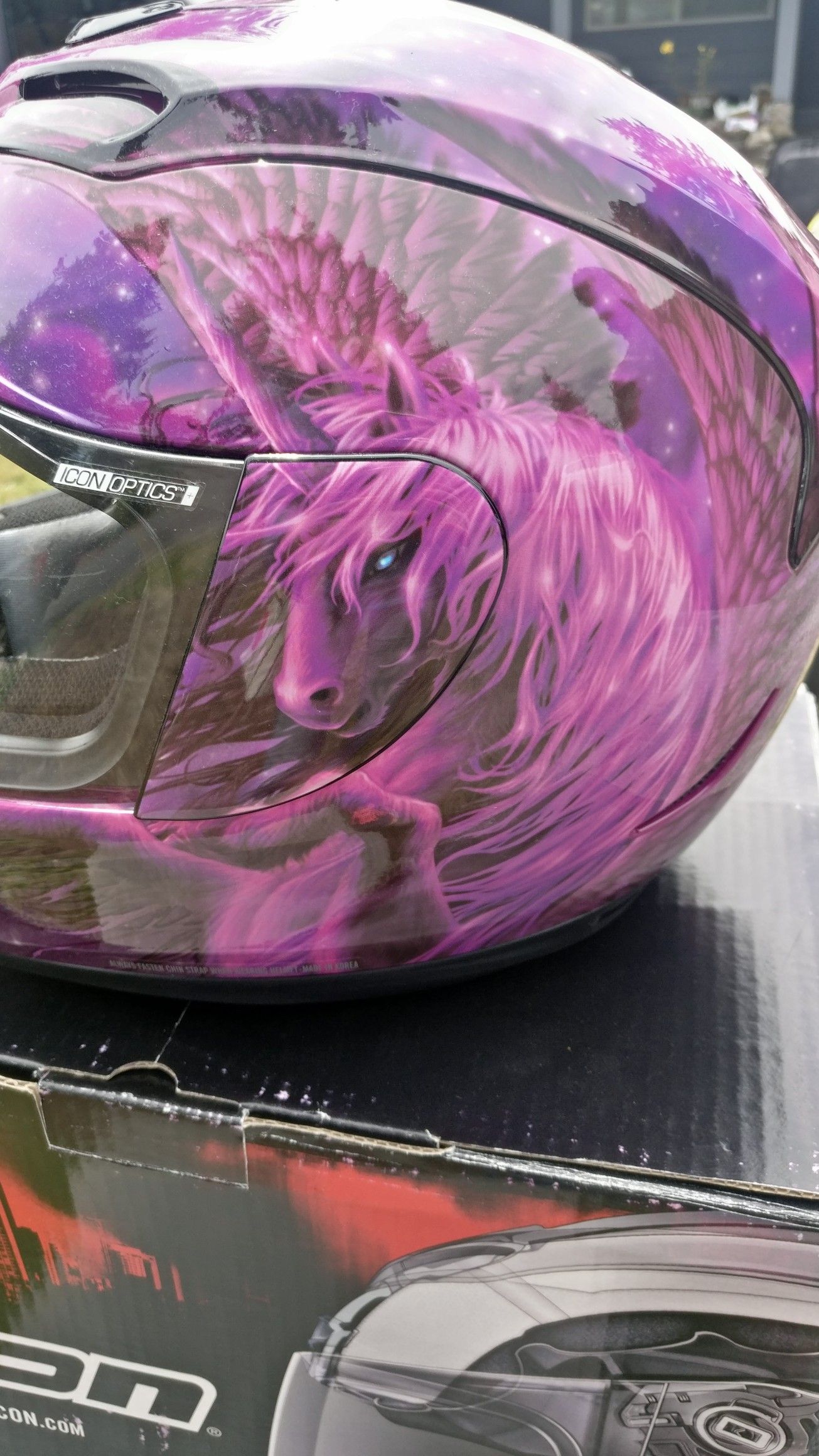 Icon pegasus motorcycle helmet