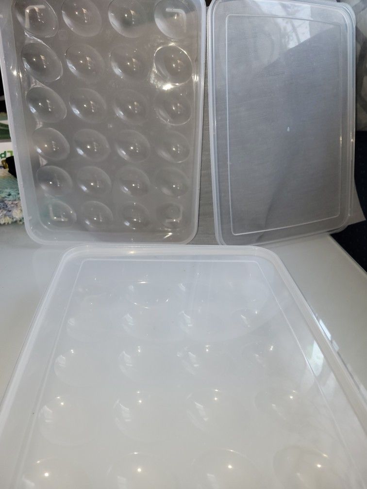 egg container