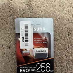 256GB Samsung SD Card