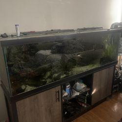 125 Gallon Tank Complete Setup