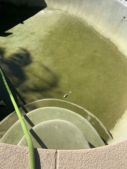 POOL ACID RINSE OR CHLORINE RINSE
