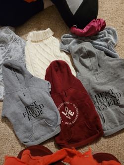 Dog Clothes With Hoodies