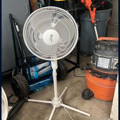 fan 