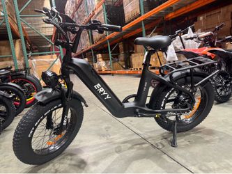 Carbon Electric Bike