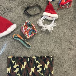 Everything you need for your pet