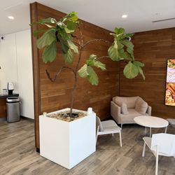 Large Modern Planter