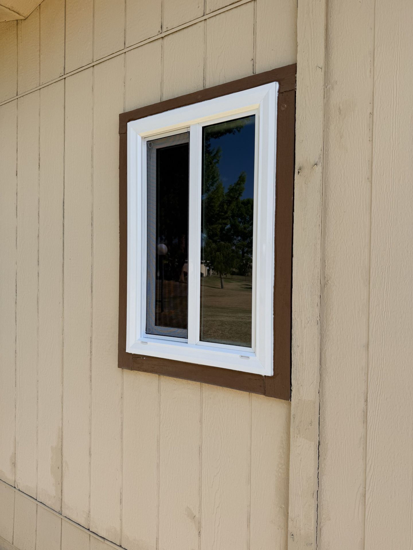 Window