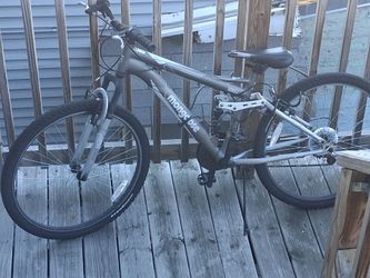 Mongoose, Grey, 24