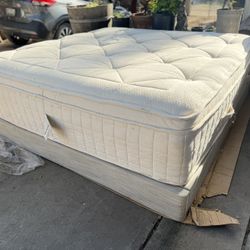 Avocado Green Mattress King w/ Pillow-Top + Original Avocado Base