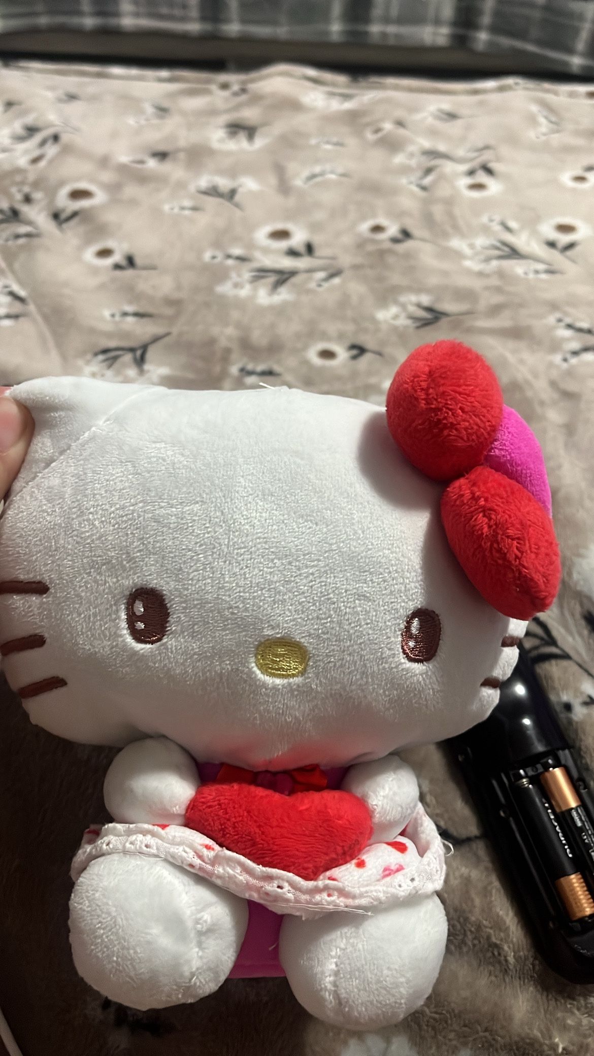 Hello Kitty Plushies/Collectibles