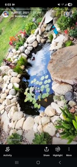 Pond cleaning and services