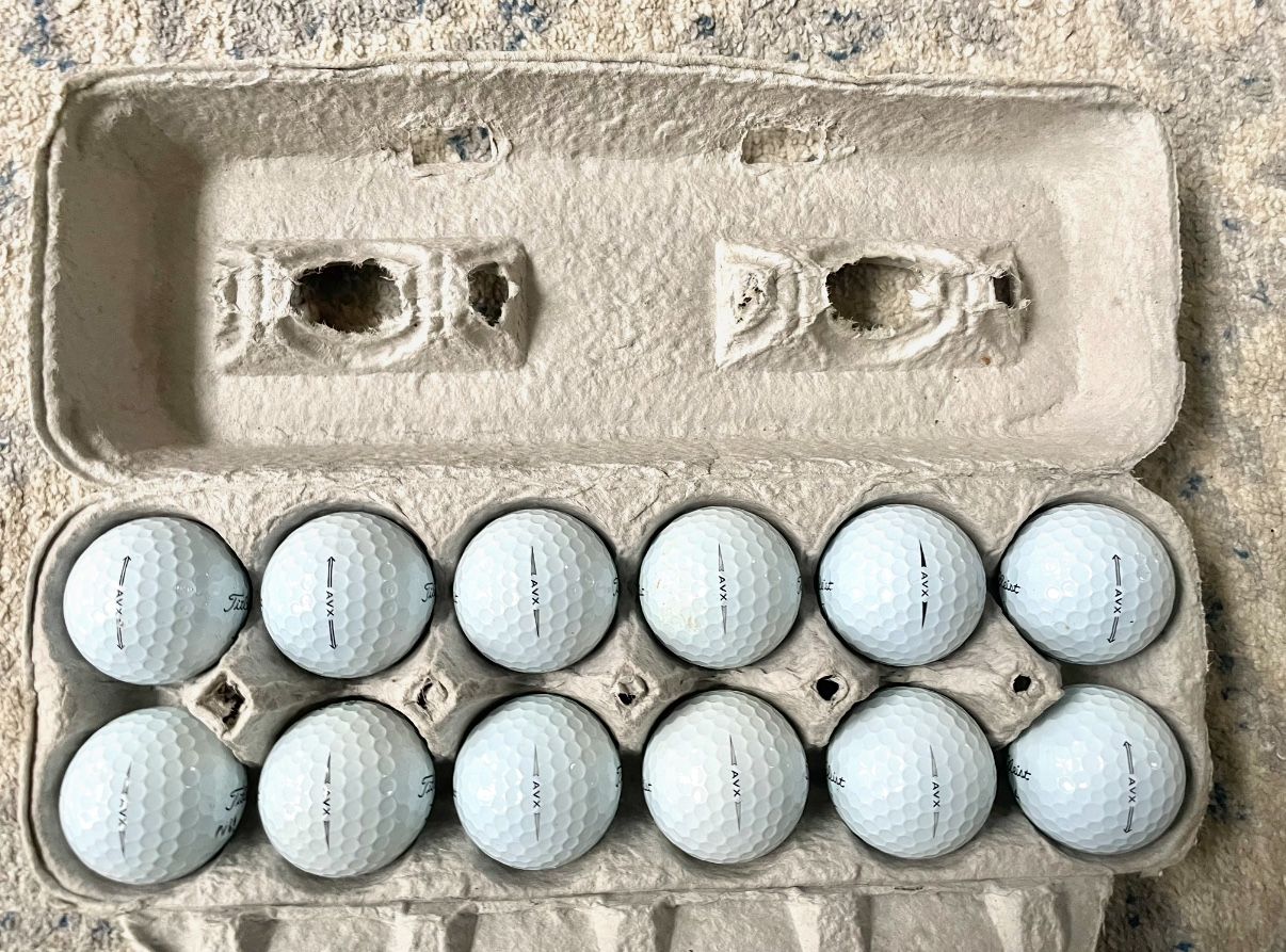 One Dozen AAA Grade Titleist Prov1 Used Golf Balls