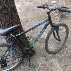 Road Master 26” Mountain Bike