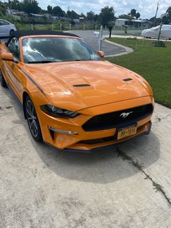 2019 Ford Mustang