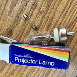 Projector bulb