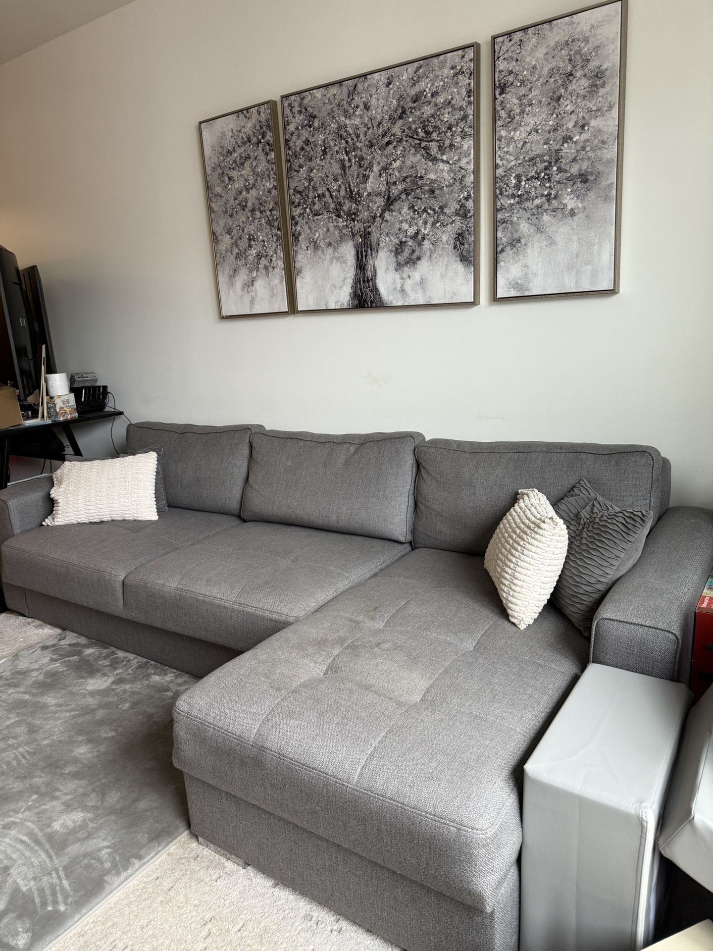 Sofa Bed