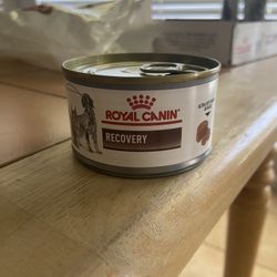 Royal Canin Recovery Dog Food