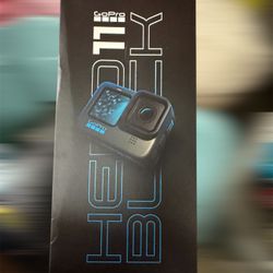 Go Pro Hero 11 Black
