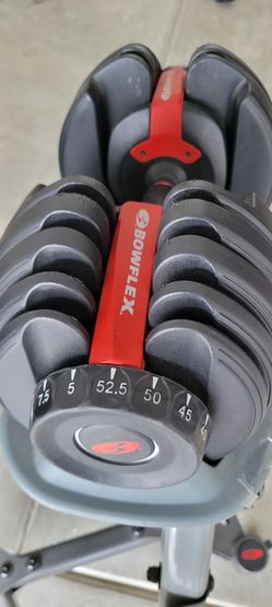 Bowflex Dumbells