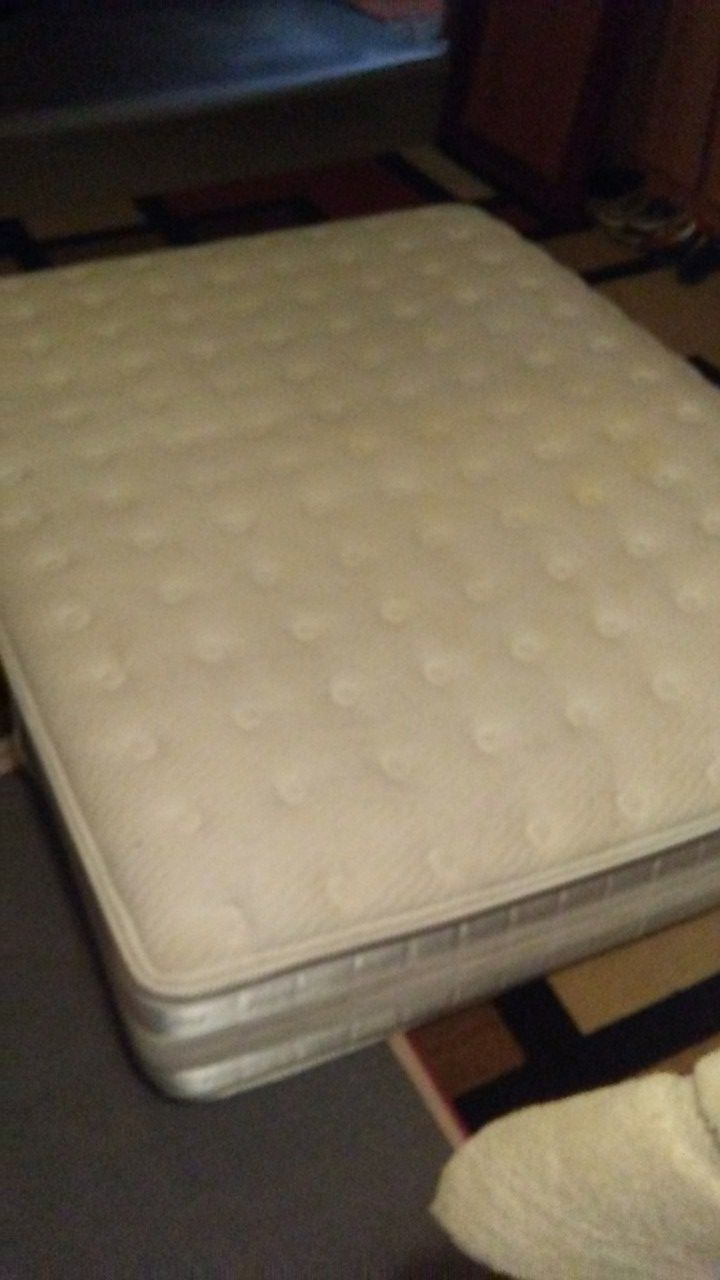 Serta perfect day applause mattress