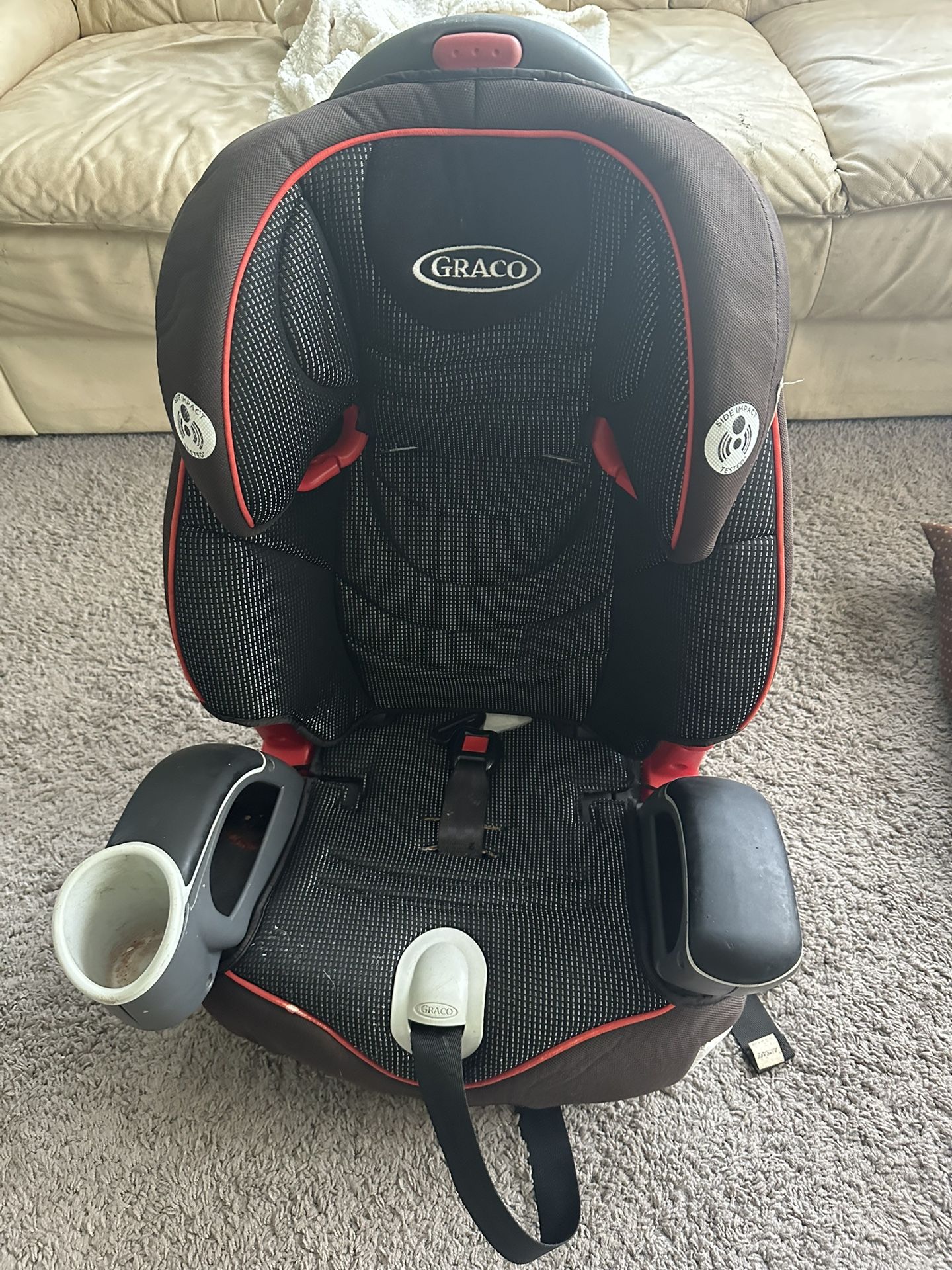 Graco Booster Seat (FREE!)