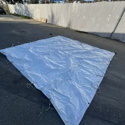 Black/White Poly Bounce - AKA: Griffolyn 