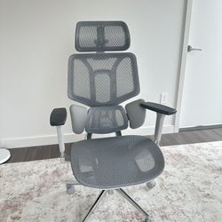 Ergonomic Office Chair