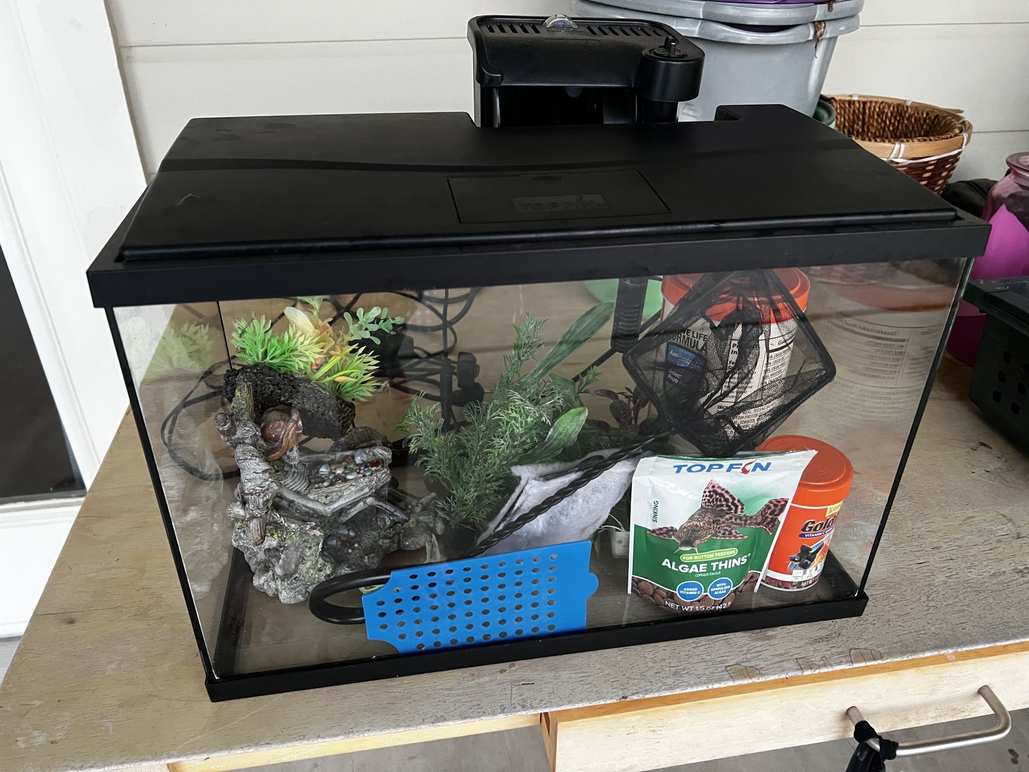Complete Starter Fish Tank