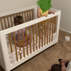 Babyletto Lolly 3-in-1 Convertible Crib
