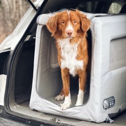 Diggs Enventur Inflatable travel Kennel (Large), Pump, and tie downs