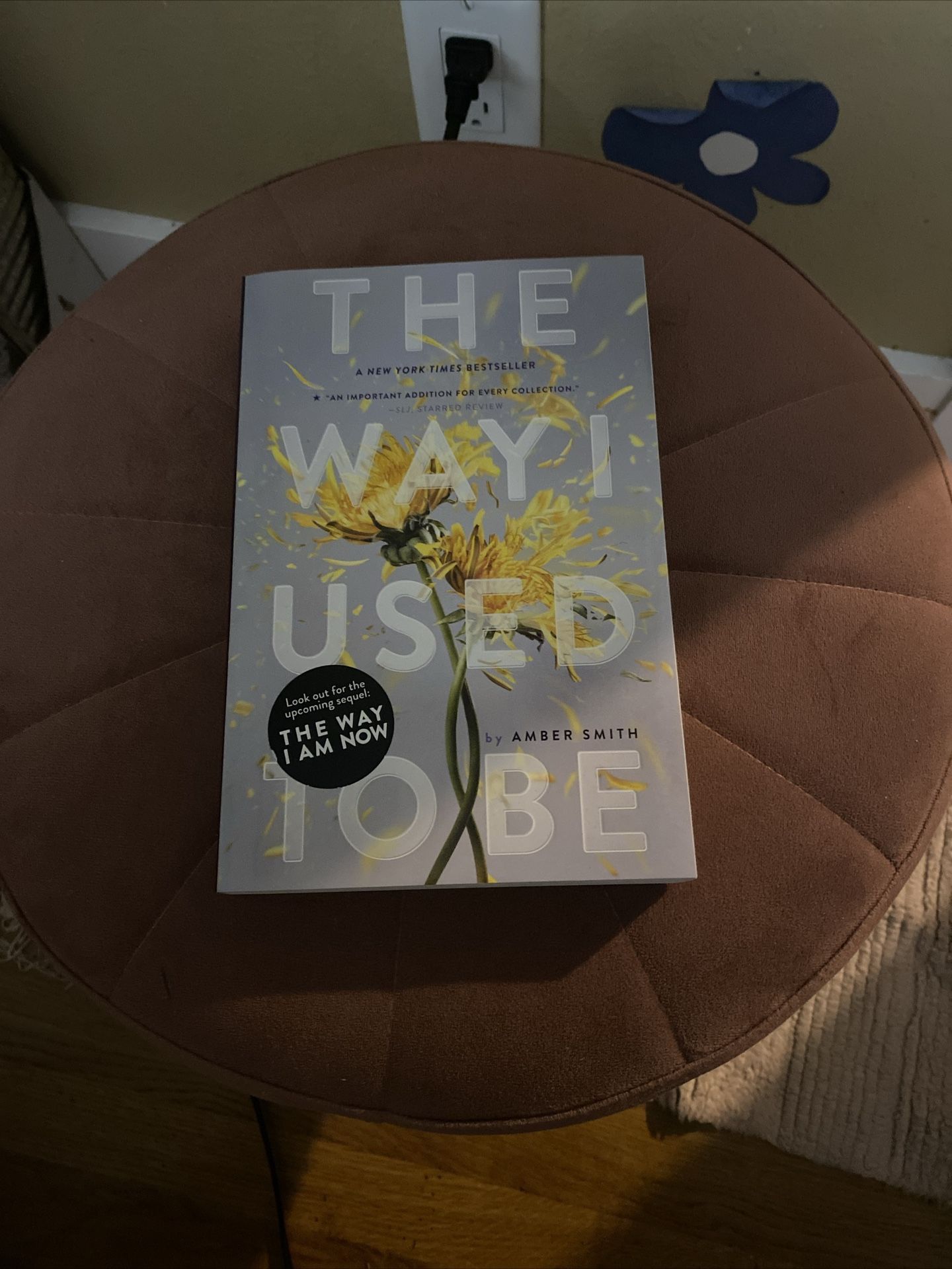 The Way I Used To Be By: Amber Smith