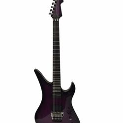 Schecter Elec Guitar Diamond Ser EPJ026174