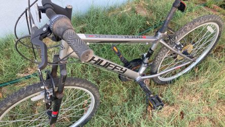 Adult bike