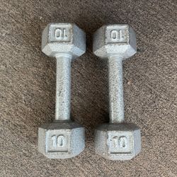 10 lbs Dumbbells 