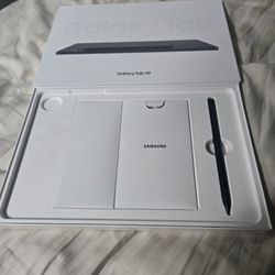 Samsung Galaxy Tab S9 256 Gigs Tablet