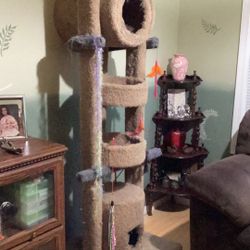 Cat Tree $50