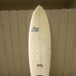 Lost Round Nose Fish