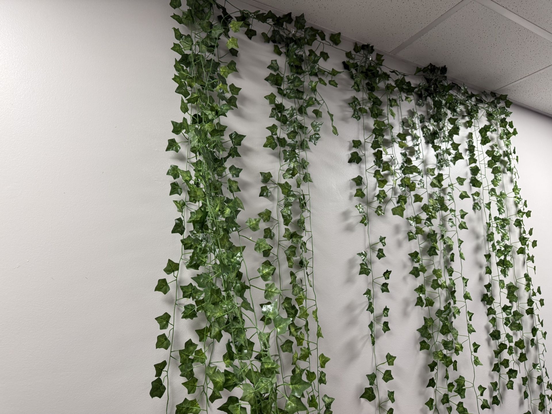 Fake Ivy Leaves