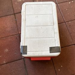 Vendo Está Está Poco Chica 