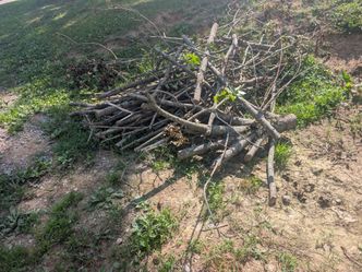 Wood