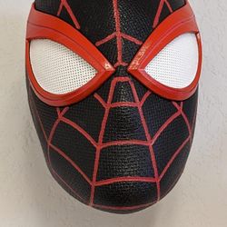 Amazing Masks Full Head Coverage/wearable /art