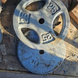 25 Lb Plates 