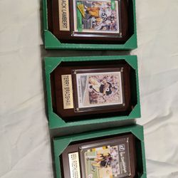 Pittsburgh Steeler Plaques